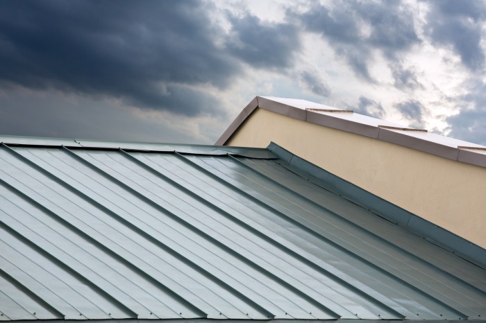 Eco-Friendly Roof Materials: A Guide to Sustainable Options ... Eco-Friendly Roof Materials: A Guide to Sustainable Options ...